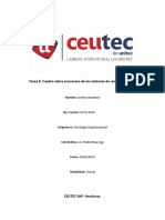 Cuadro Sobre El Proceso de Los Sistemas de Reconocimiento