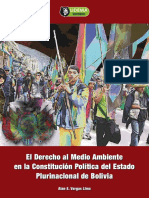 Libro - Derecho Al Medio Ambiente en La PDF