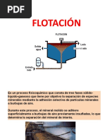 Flotacion Del Oro