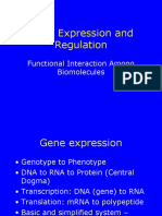 Gene Expression and Regulation