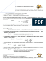 Ortografia Literal PDF