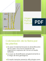 Origen de Las Plantas Vasculares