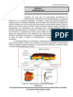 Biologia e Fisiologia Celular - Unidade 2 - Biomebranas