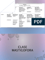 Tripanosomosis PDF