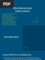 Mycobacterium T PDF