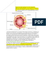 CANCER OF THE BLADDER - En.es