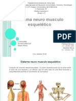 Sistema Neuromusculo Esquelético