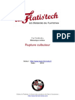 11-Rupture Culbuteur PDF