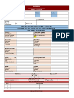 Formato - v2 Ficha Técnica