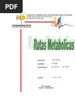 Fisiologia Rutas Metabolicas