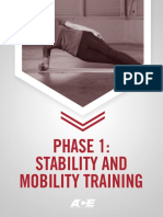 Ace Phase 1 Stability and Mobility Training PDF