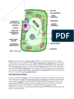 Cells and Organnelles