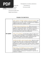 Pruebas Psicometricas