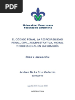 El Código Penal, La Resposabilidad Penal, Civil, Administrativa, Moral y Profesional en Enfermería