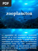 Zooplancton