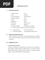 Informe Psicologico Final