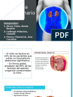 Trauma Genitourinario