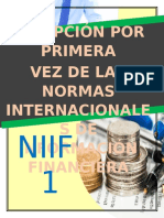 Niif 1