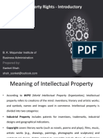 Intellectual Property Rights