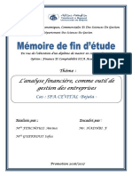 L'analyse Financière, Comme Outil de Gestion Des Entreprises