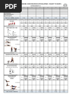 2º Mesociclo ACABOSE CORONAVIRUS APOCALIPSEX 1 1 PDF