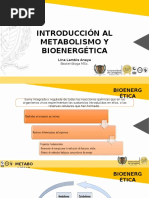 Bioenergética