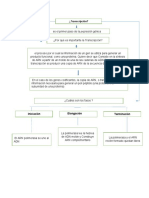 Que Es Transcripcion Mapa Conceptual.