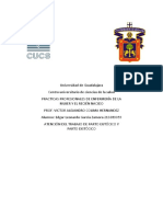 Atención Del Trabajo de Parto Eutócico y Parto Distócico