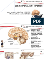 Enfermedades Del Eje Hiposis-Hipotálamo FINAL 2