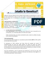 Ficha Que Estudia La Genetica para Sexto de Primaria