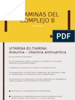 Vitaminas Del Complejo B