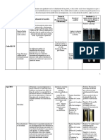 Tabla Pruebas Bioquímicas Enterobacterias 2020A