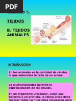 Tejido Animal