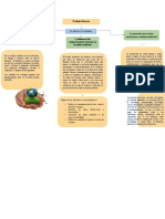 Mapa Conceptual de Video Ecologia Humana. KG