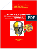 Atlas de Anatomia-Medicina - R