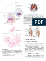 Apostila Sistema Respiratorio