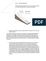 Taller Hidraulica Fluvial PDF