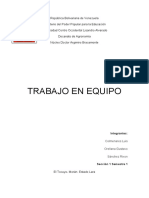 Trabajo en Equipo