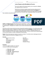 Lactase Enzyme Lab Student 2015