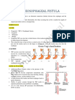 Tracheosophageal Fistula