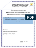 Version Memoire 1.1 PDF