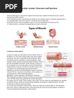 Muscular System: Structure and Function: 1. Types of Muscles