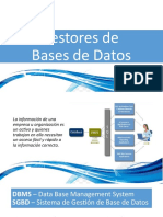 Manejadores de Base de Datos