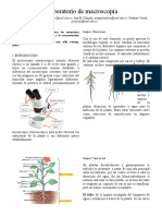 Laboratorio 2 FV