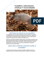 Toda La Información Sobre Los Armadillos (Que Comen, Donde Viven, Características y Mucho Más)