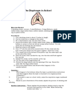 The Diaphragm in Action!: Materials Needed