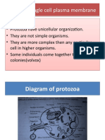 Life With Single Cell Plasma Membrane