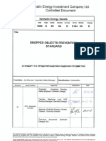 DroppedObjectsPreventionStandard - Eng 05 05 17 PDF