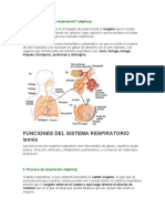 Sistema Respiratorio