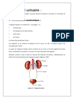 Appareil Urinaire